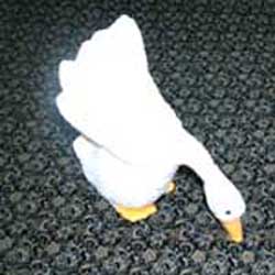 ǰ 